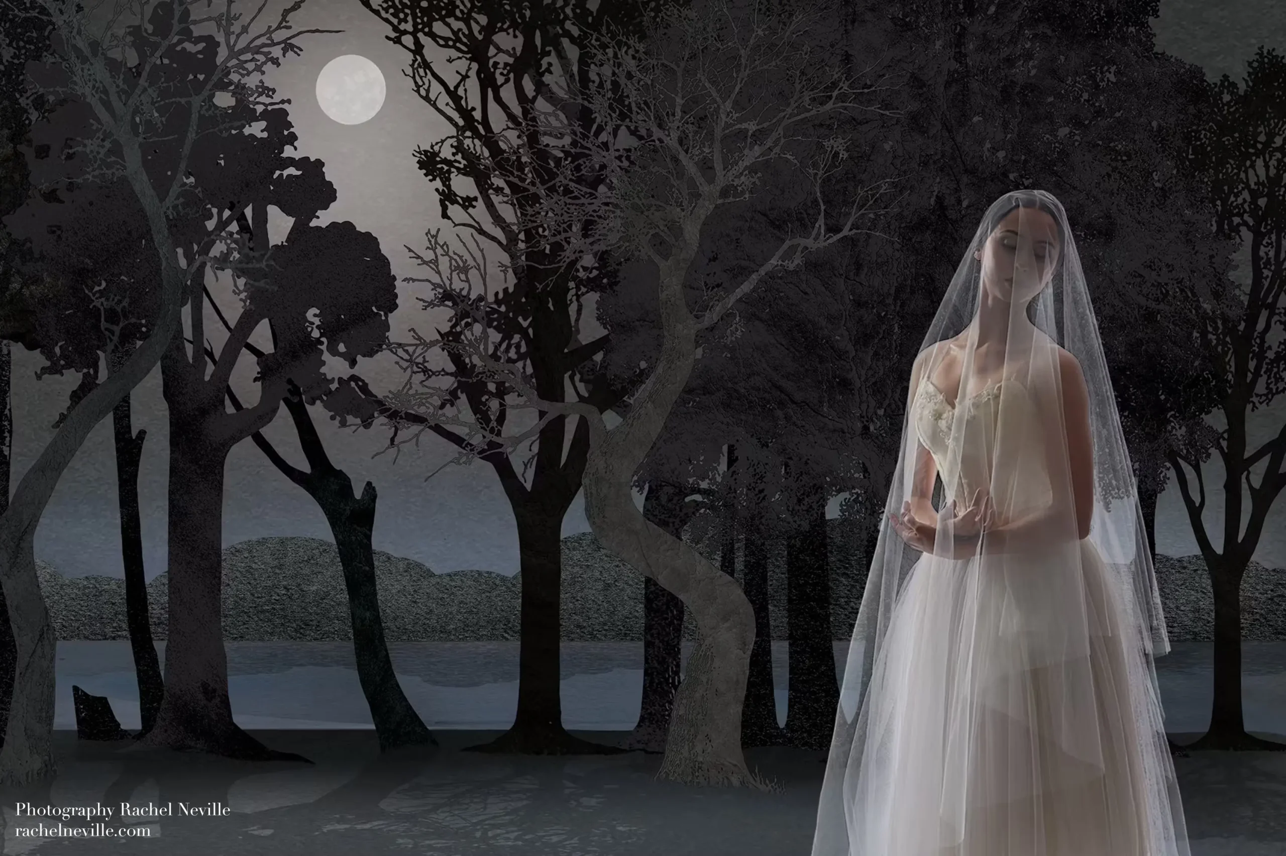 giselle art promo by the atlanta ballet illustration made by monica lind and photography by rachel deville